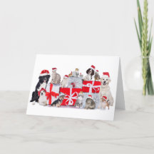 Gatos y perros y Mascotas - Tarjeta para Navidades