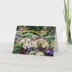 Festiva Golden Retriever Pups En Tarjeta De Saludo De Jard