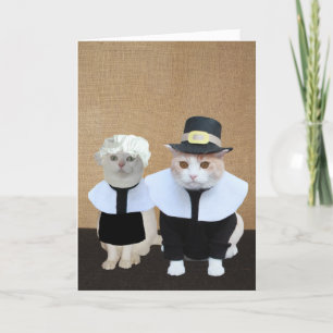 Festiva Graciosa tarjeta de acción de gracias para gatos d