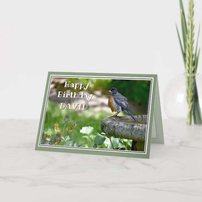 Festiva Graciosa tarjeta de cumpleaños Robin (Anverso)