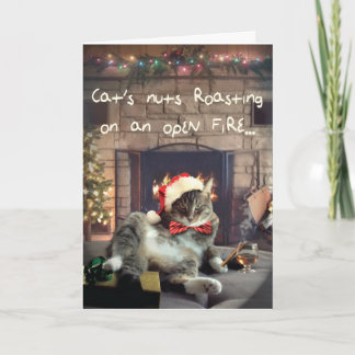 Festiva Graciosa tarjeta de gato navideño, nueces de gato 