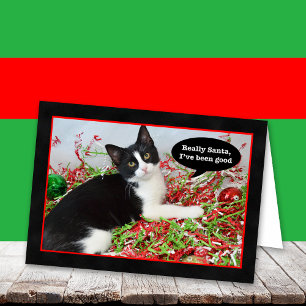 Festiva Graciosa tarjeta de Navidades gatitos de Tuxedo Ki