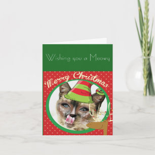 Festiva Graciosa tarjeta de Navidades gatos siameses