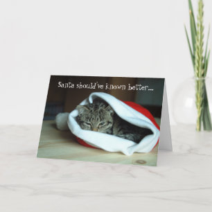 Festiva Graciosa tarjeta de Navidades para gatos de Santa