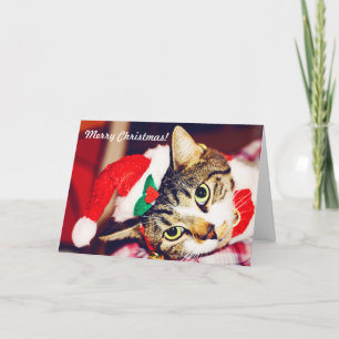 Festiva Graciosa tarjeta de saludo para Navidades rojos de
