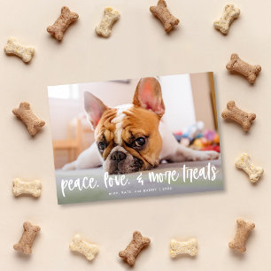 Festiva Gracioso gato de perro lindo trata la tarjeta foto