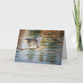 Festiva Gran Garza Azul Pájaro Tarjeta en Blanco para Toda