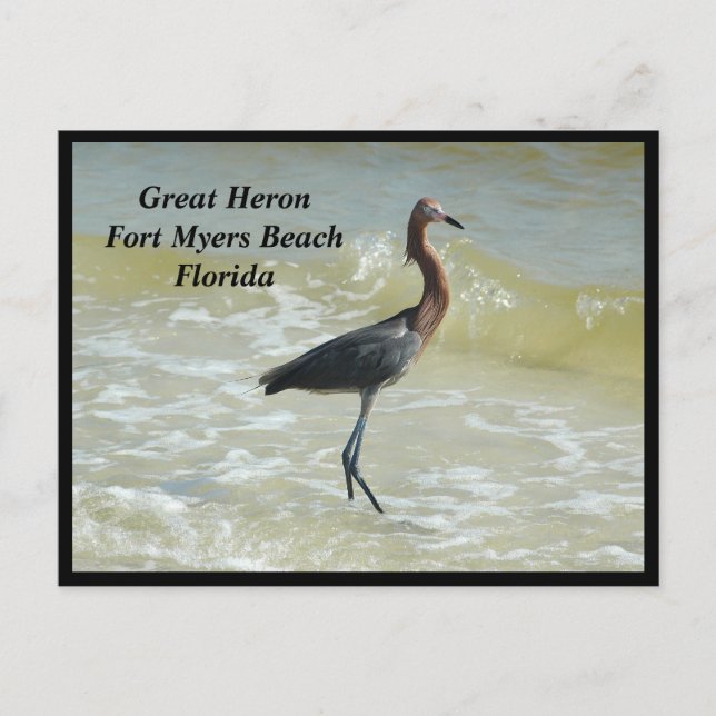 Festiva Gran postal de feriado de Heron (Anverso)
