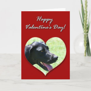 Festiva Gran tarjeta de Día de San Valentín Dane