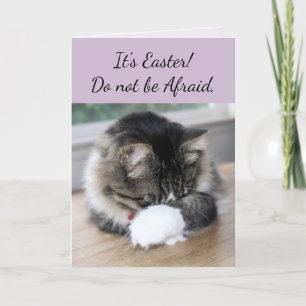 Festiva Ha Subido La Tarjeta De Pascua De Kitten