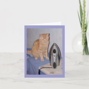 Festiva Hal la tarjeta del día de San Valentín del gato