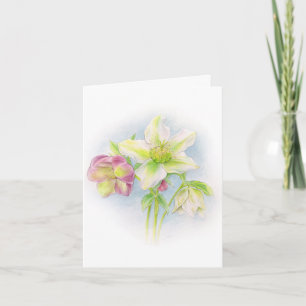 Festiva Hellebore floral blanca rosa verde tarjeta de Pasc