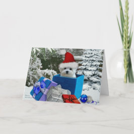 Festiva Hermes la tarjeta de felicitación maltesa del