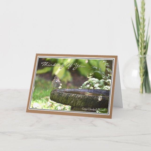 Festiva Hermoso pensamiento de pájaro de tu tarjeta de fel (Anverso)