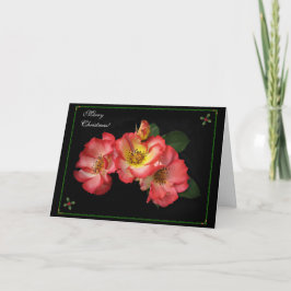 Festiva ¡Hermosos Navidades Rosas Tarjeta 2014!