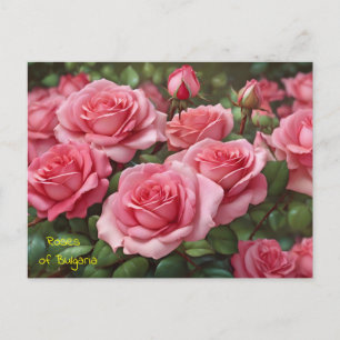 Festiva Hermosos Rosas de la postal de Bulgaria