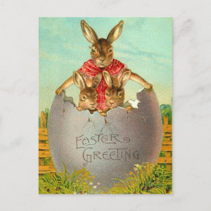 Festiva Huevo de Pascua y postal de conejo