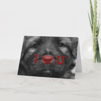 Festiva I corazón usted tarjeta de felicitación del