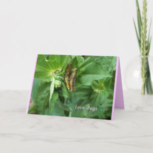 Festiva Insectos de la tarjeta/del amor de la tarjeta del