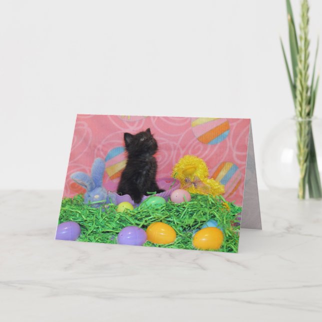 Festiva Iz Da Easter Bunny Here While Tarjeta De Saludo (Anverso)