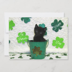 Festiva Jack's St. Patrick's Day Cat/ Kitten - Tarjeta pla