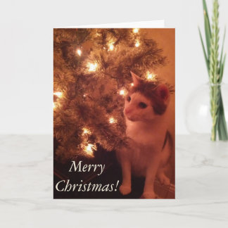 Festiva Kitty por la tarjeta de felicitación del árbol de 