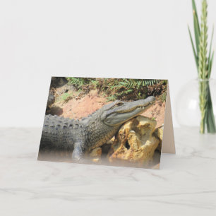 Festiva La almohada del gálibo - Tarjeta plegada del lagar