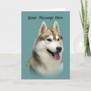 Festiva La preciosa tarjeta de bienvenida de Husky Siberia