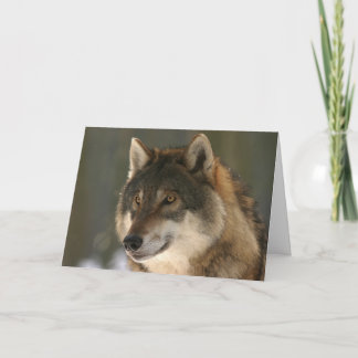 Festiva La tarjeta de la tarjeta del día de San Valentín