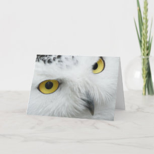 Festiva La tarjeta observada amarillo de la tarjeta del