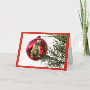 Festiva Labrador Recuperador Navidades Tarjeta Ball Colgan