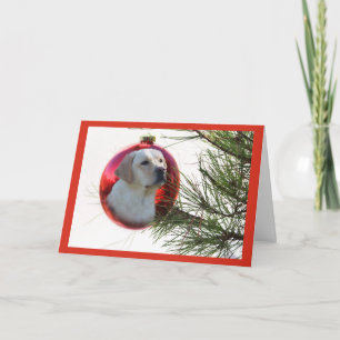 Festiva Labrador Recuperador Navidades Tarjeta Ball Colgan