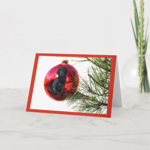 Festiva Labrador Recuperador Navidades Tarjeta Ball Colgan