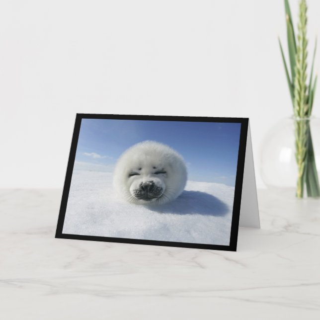 Festiva Le aporreo (la tarjeta del amor/del el día de San (Anverso)