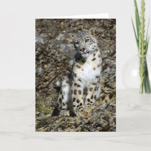 Festiva Leopardo de la nieve - Tarjeta de Navidades