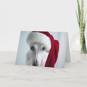 Festiva Lirio la tarjeta del día de fiesta de Whippet