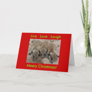 Festiva Live Love Laugh - Tarjeta de vacaciones de Meerkat