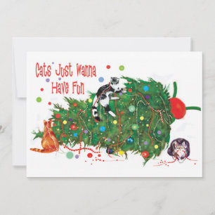 Festiva Los gatos solo quieren tener una tarjeta de Navida
