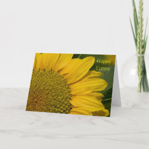 Festiva Macrogirasol Con Gotas De Lluvia Tarjeta De Pascua