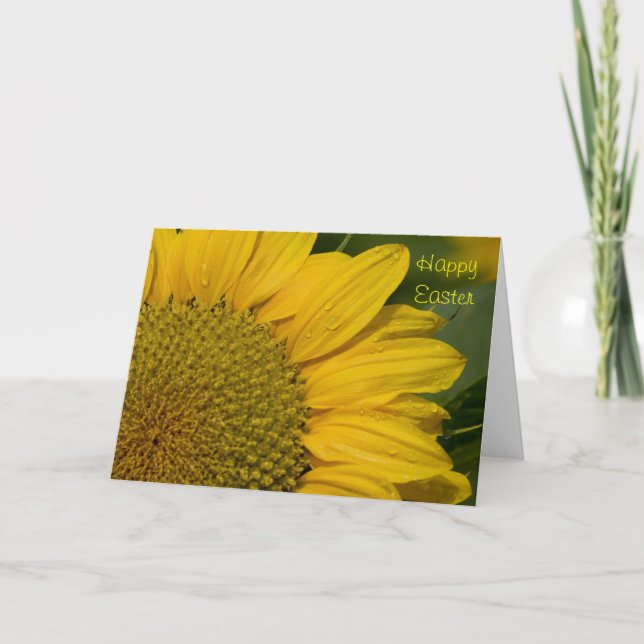 Festiva Macrogirasol Con Gotas De Lluvia Tarjeta De Pascua (Anverso)