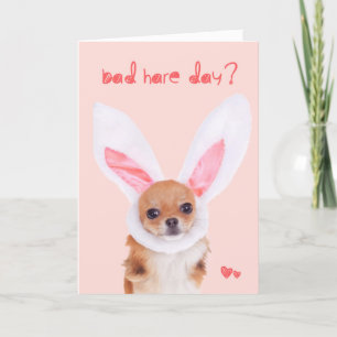Festiva Mala tarjeta de pascua de la chihuahua del día de
