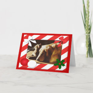 Festiva Marco de la tarjeta de Navidades del gato del recu