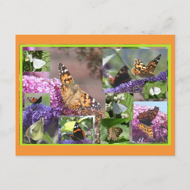 Festiva Mariposas en la postal de verano Collage DIY (Anverso)
