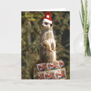 Festiva Meerkat, pequeña tarjeta del ayudante de Santa