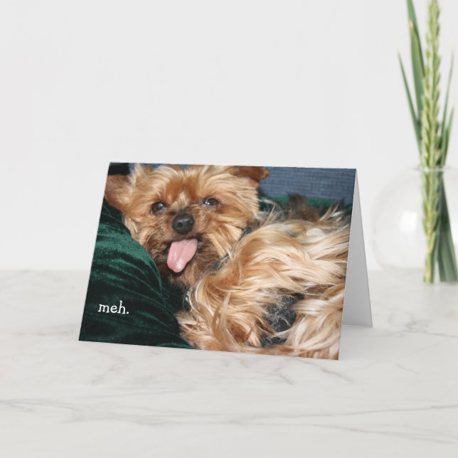 Festiva "meh - doan want" Tarjeta de felicitación (Anverso)