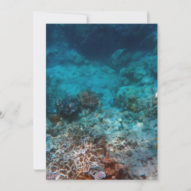 Festiva Mejor tarjeta de 5" x 7" (Anverso)