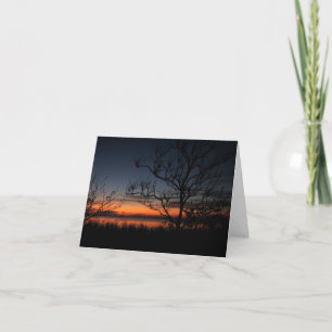 Festiva Mensaje De Simpatía Con Sunset, Árboles Y Tarjeta
