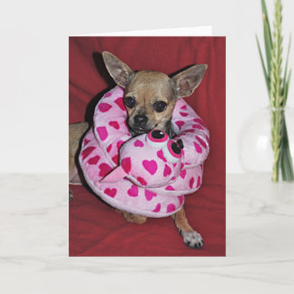 Festiva Mi tarjeta del día de San Valentín divertida