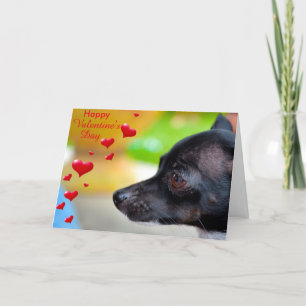 Festiva Miniatura Pinscher feliz tarjeta de San Valentín