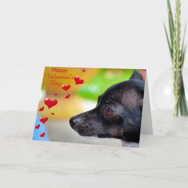 Festiva Miniatura Pinscher feliz tarjeta de San Valentín (Anverso)